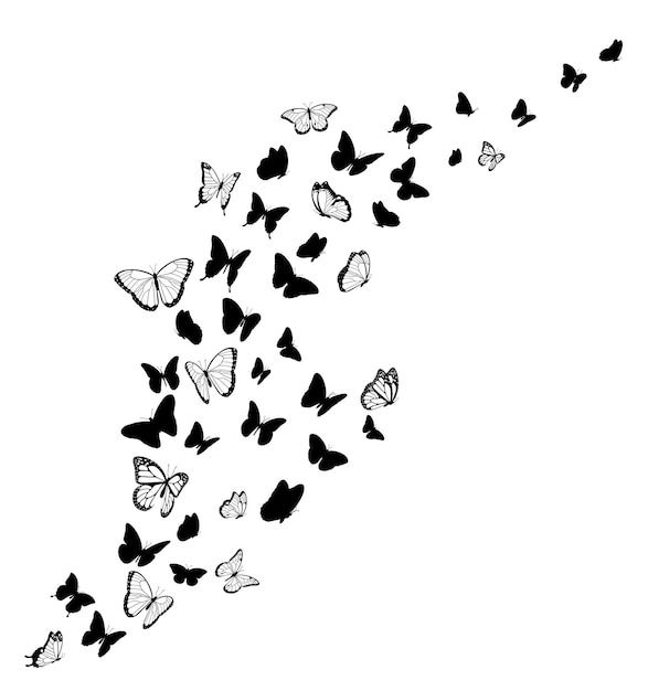 black butterfly silhouettes vector design element