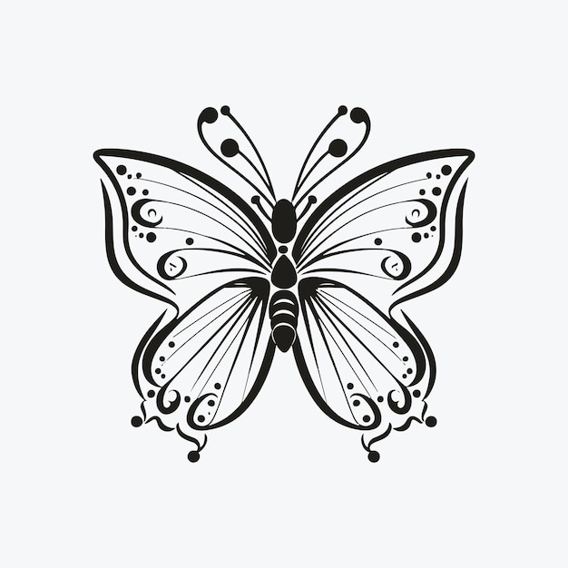 A black butterfly with a white background