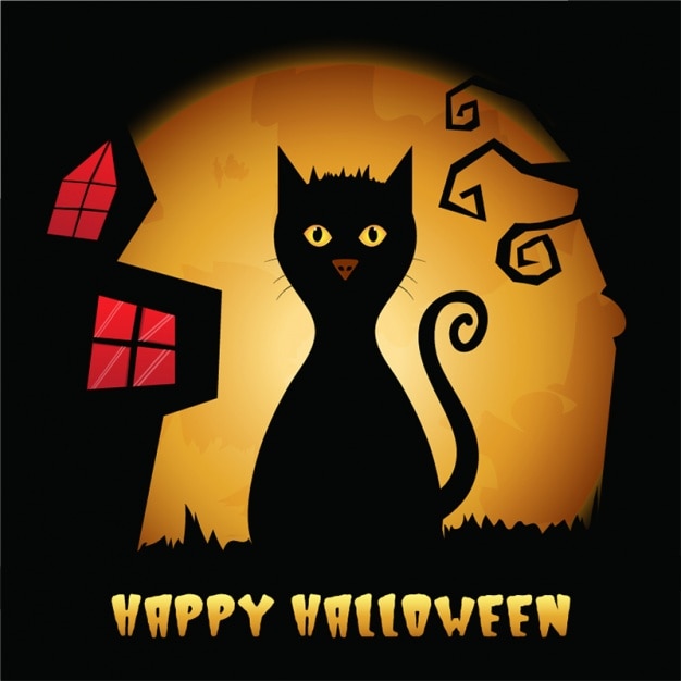 Vector black cat background for halloween