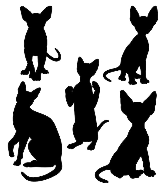 Vector black cat gesture silhouette