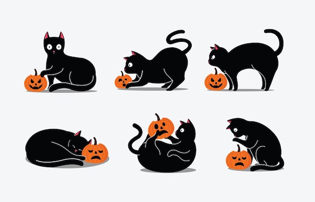 Black Cat Halloween personage