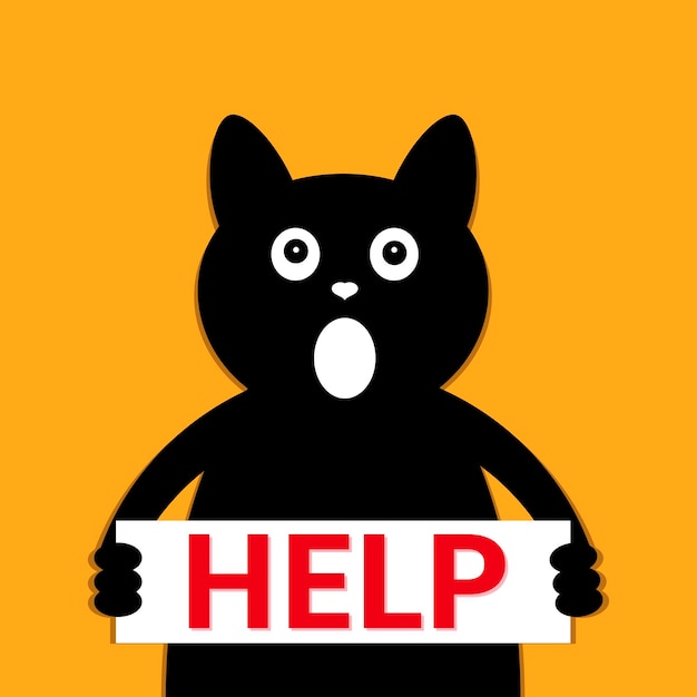 Black cat help call