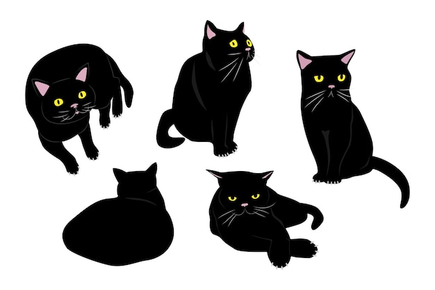 Black Cat Illustration Set