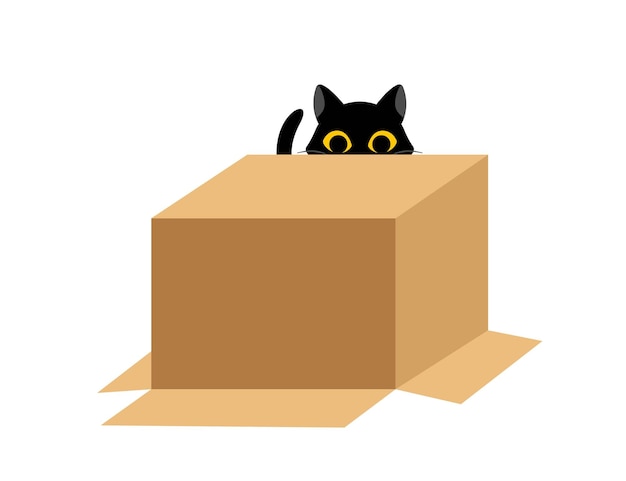 Vettore gatto nero con scatola
