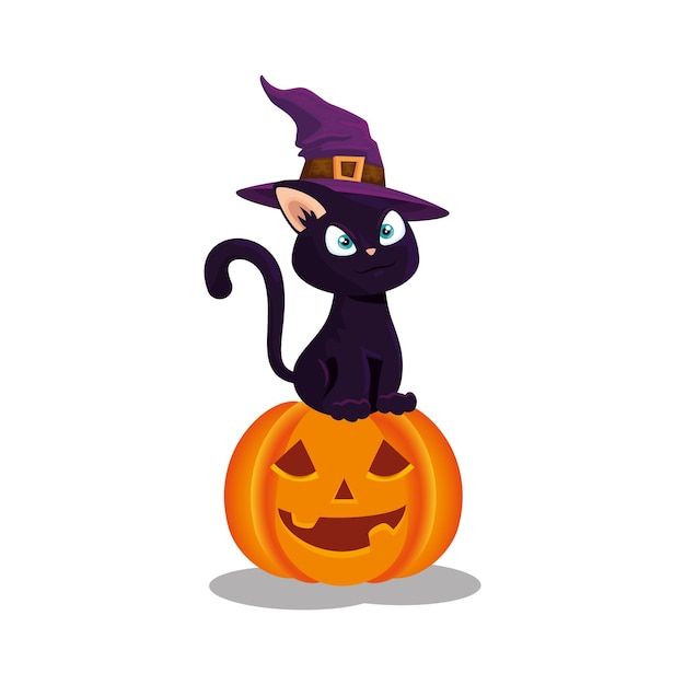 Black cat with hat witch in pumpkin halloween