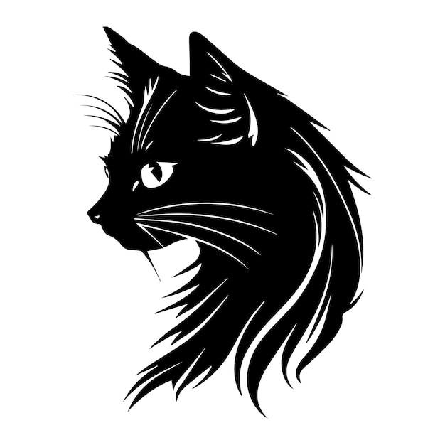 A black cat with long hair and a long tail is shown.