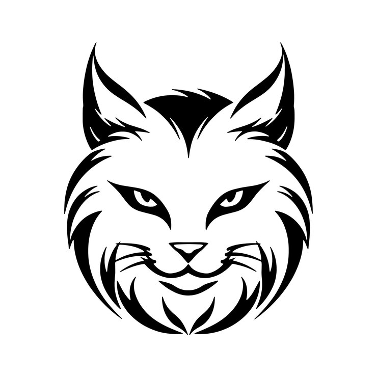 Вектор показана черная кошка с длинной шерстью и длинным хвостом.