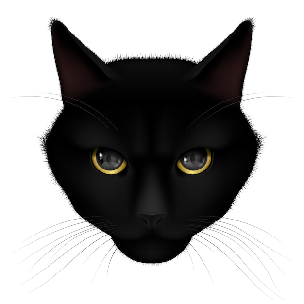 Vector black cat