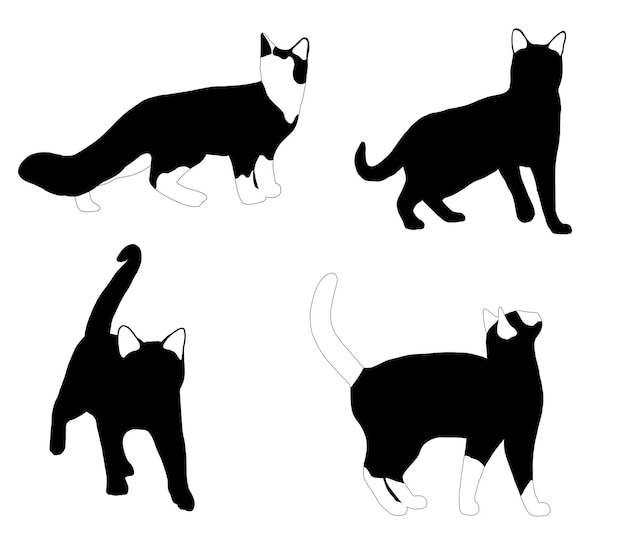 Vector black cats silhouette