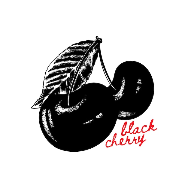 Vector black cherry