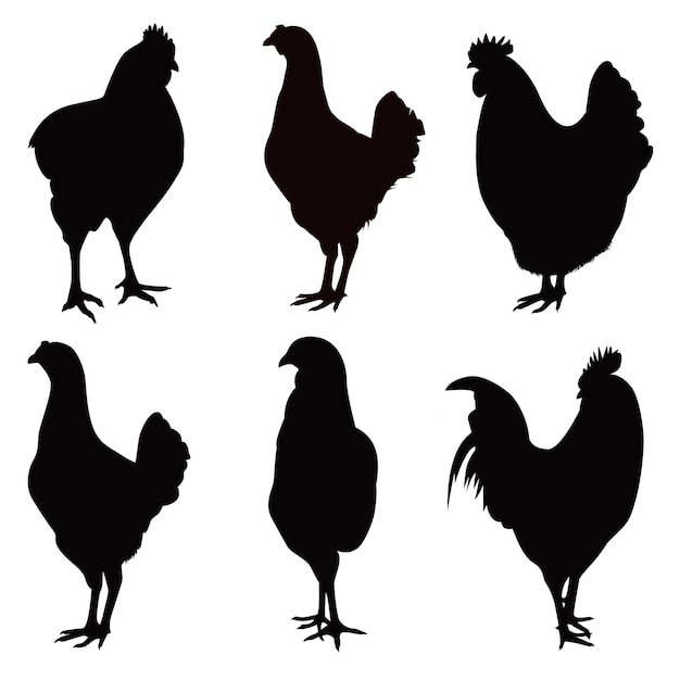 Black Chicken of Hen Silhouettes Vector Illustratie Pack