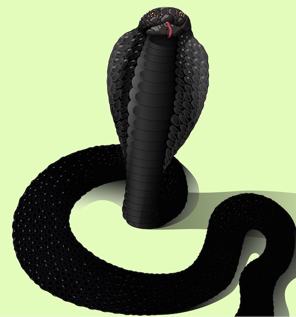 Illustrazione vettoriale di serpente cobra nero