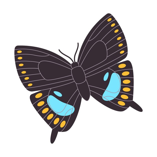 黒いスパイスブッシュ スワローテール 蝶 美しいカラフルなパターン 翼 野生の自然 昆虫 動物