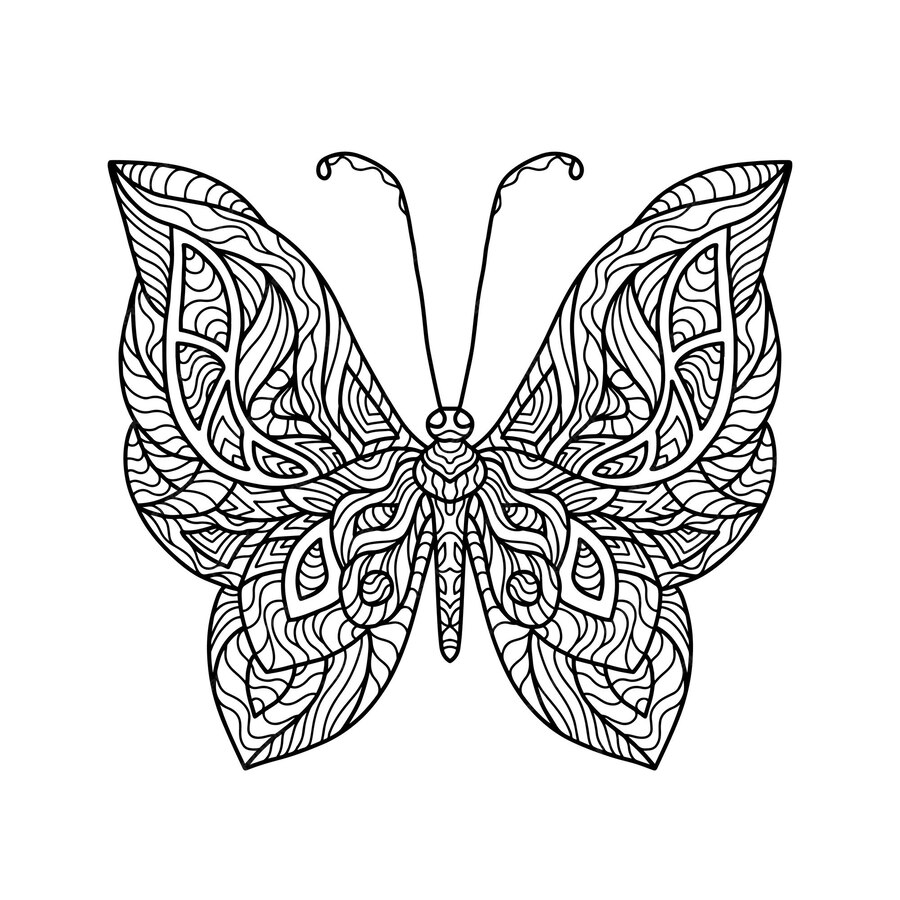 Premium Vector | Black coloring page butterfly doodle. outline contour ...