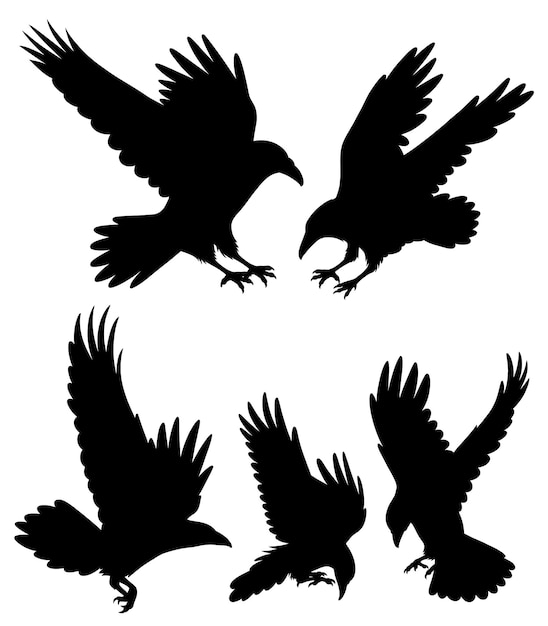 Vector black crow bird animal silhouette