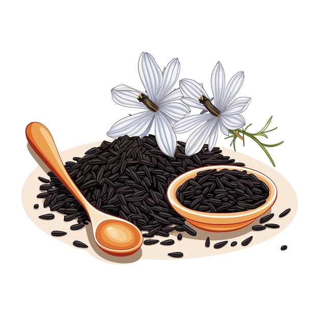 Black cumin vector clipart white background