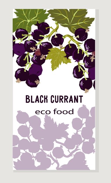 Black currant label design for food packaging and jam jars vector illustration