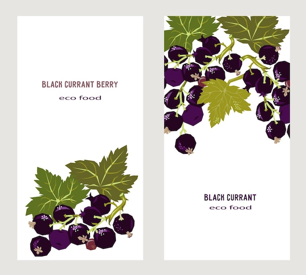 Black currant label design set flat vector illustration on white background