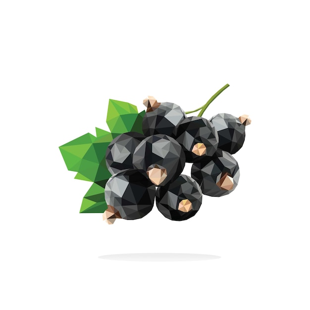Black currant low poly
