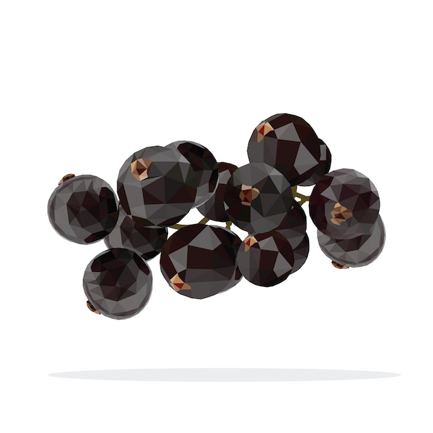 Vector black currant low poly