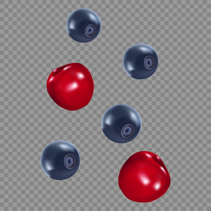 Vector black current and cherry mix fruit flying in realistic vector background