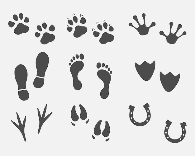 Black Different Animal and Bird Silhouettes Tracks Set isolated on white background Vector illustration