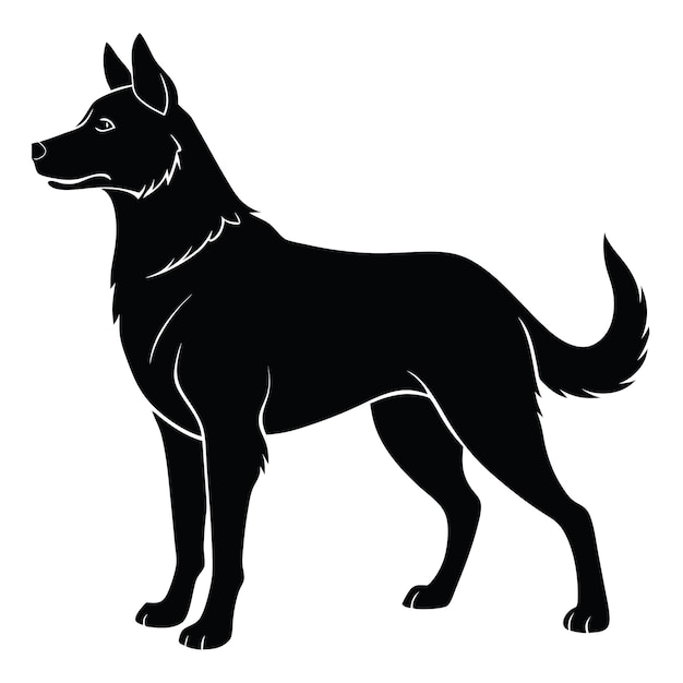 a black dog with a collar on it