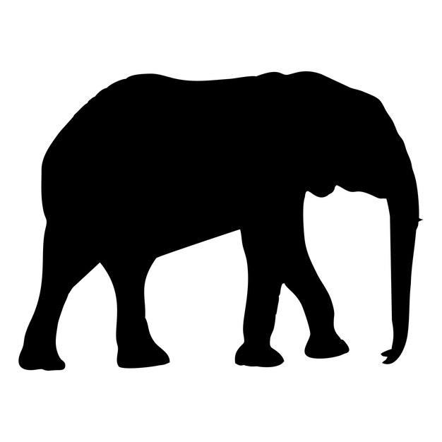 A black elephant with a white background with a black silhouette