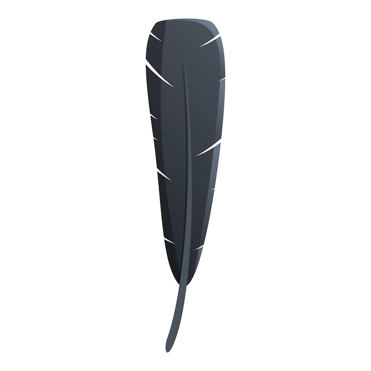 Vector black feather icon cartoon of black feather vector icon for web design isolated on white background