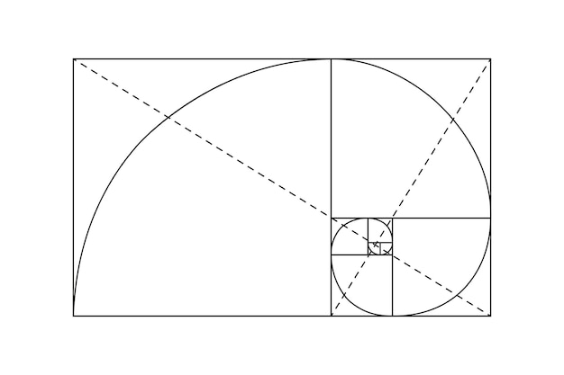 Vettore fibonacci nero su tabellone bianco. disegno di illustrazione vettoriale. simbolo del rapporto aureo.