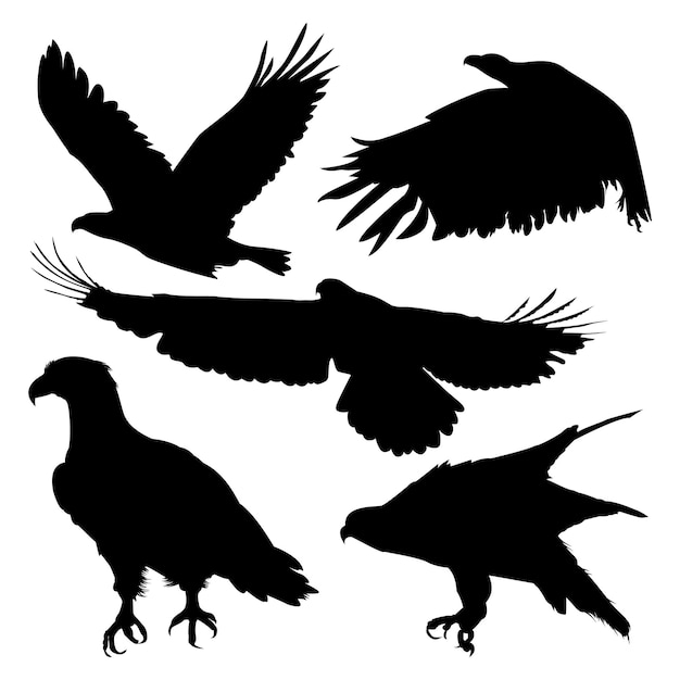 Черный летающий орел силуэты векторная иллюстрация