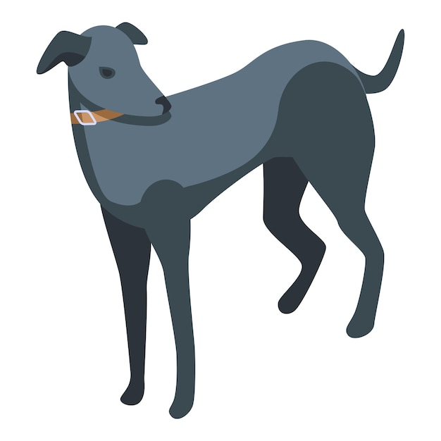 Black greyhound icon isometric vector Animal dog Pet italian