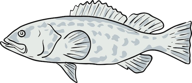 Vector black grouper fish golf van mexico cartoon tekening