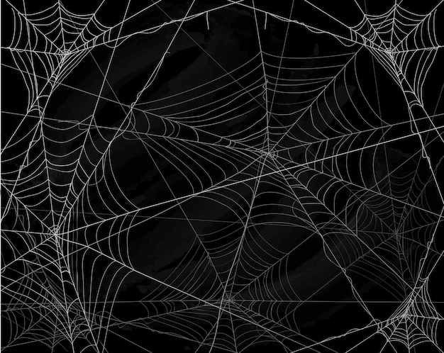 Vector black halloween background with spiderwebs