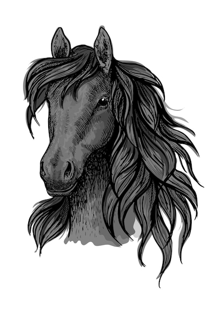 Vector black horse head sketch portrait