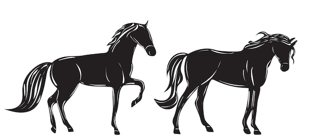 Black horse silhouette isolated vector