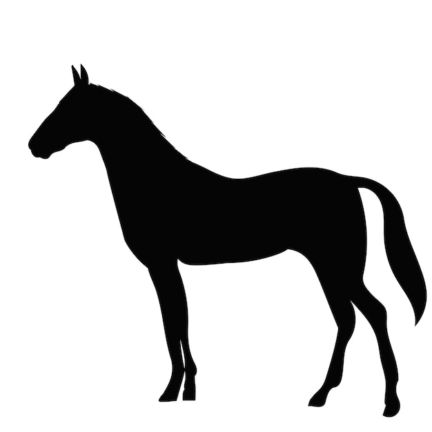 Vector black horse silhouette on a white background