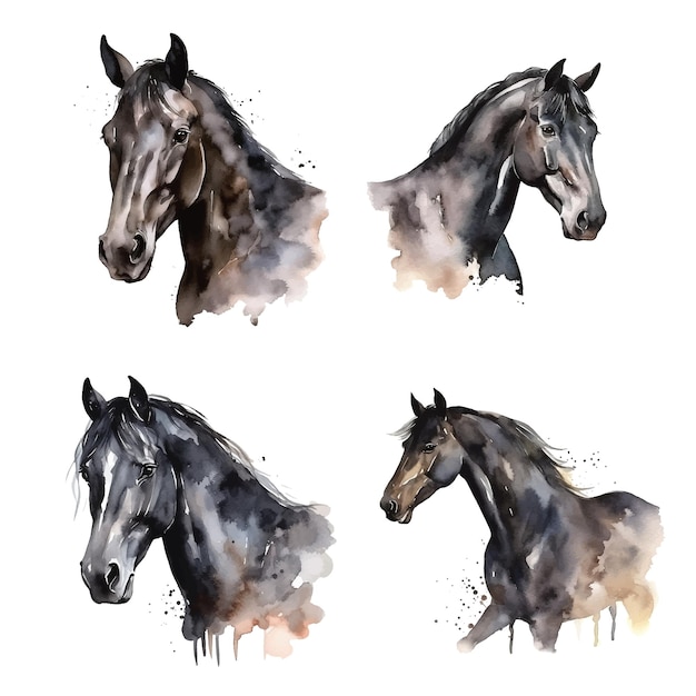 Collezione di pittura ad acquerello black horse