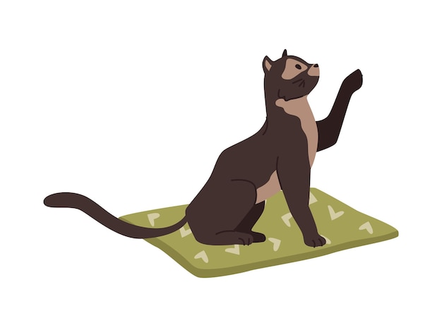 Vector black kitten sitting on mat raising paw