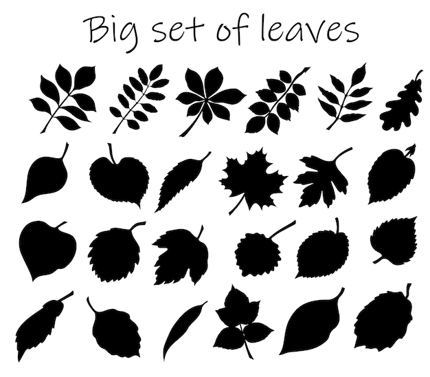 Vector black leaf inked silhouettes set