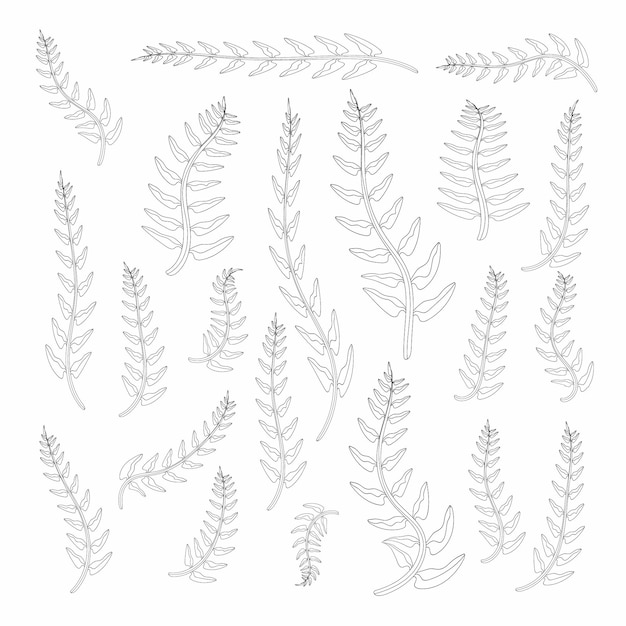 Black leaves Line art vector collection Leaf outline illustration Hand drawn decorative elements