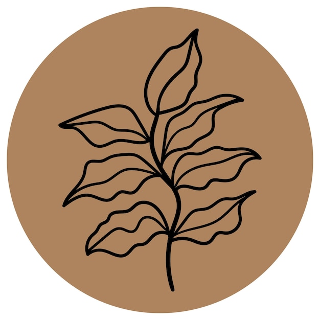 A black line drawing of a plant with leaves on a brown background