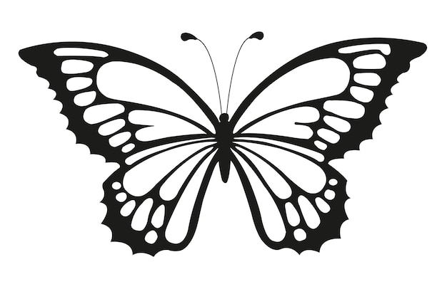 Black lines butterfly on a white background