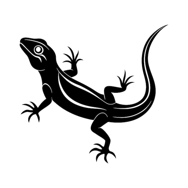 a black lizard with a white background
