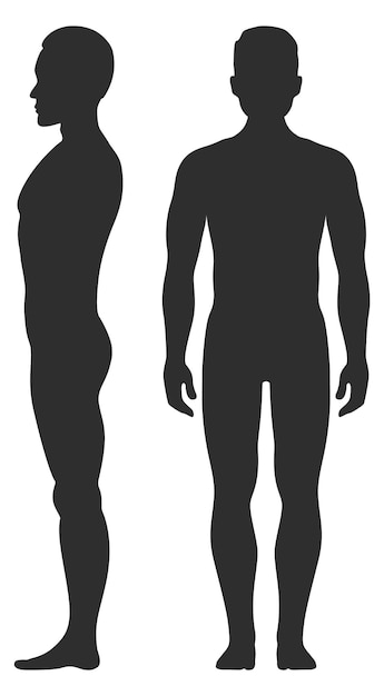 Vector black male silhouette human front and side view isolated on white background