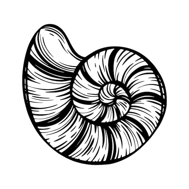 벡터 초대 패브릭 섬유 등의 디자인을 위한 검은 해양 조개 연체동물 또는 달팽이