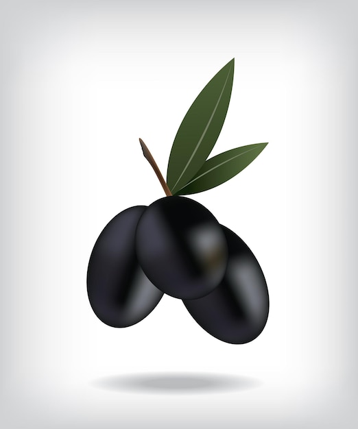 Black olives illustration