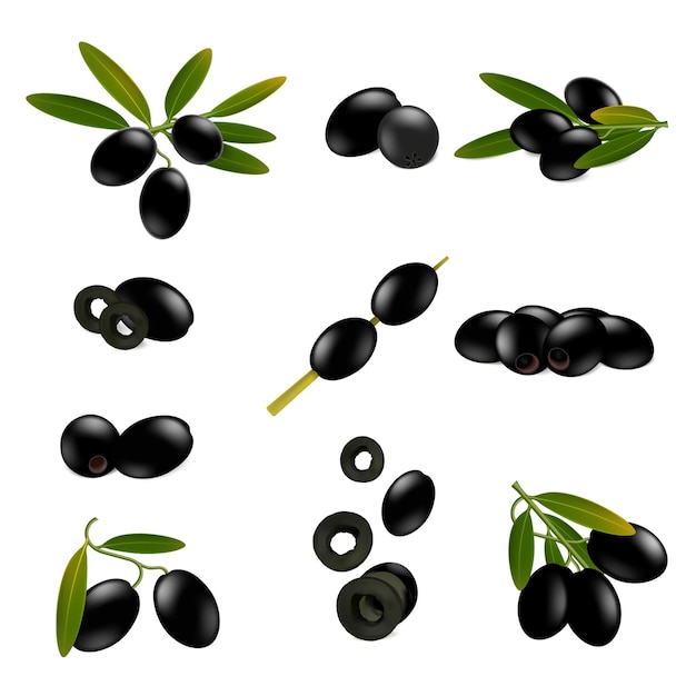 Vector black olives realistic set with isolated images of olives with buds leaves sliced and on stick vector illustration