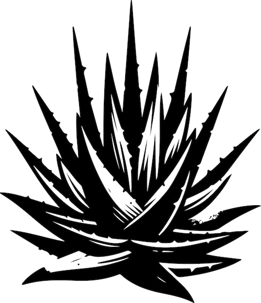 Black outline aloe vector illustration