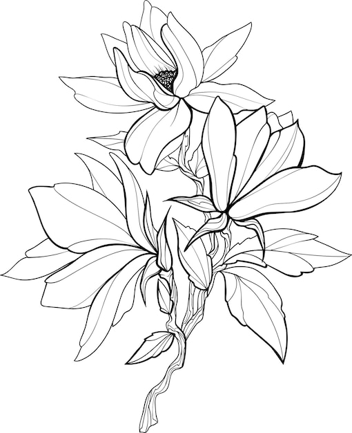 black outline drawing of flowers